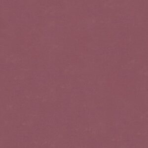 30130- Bombay B2B Sample