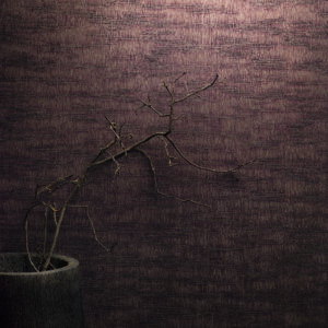 36634 - Felix Diener Craft